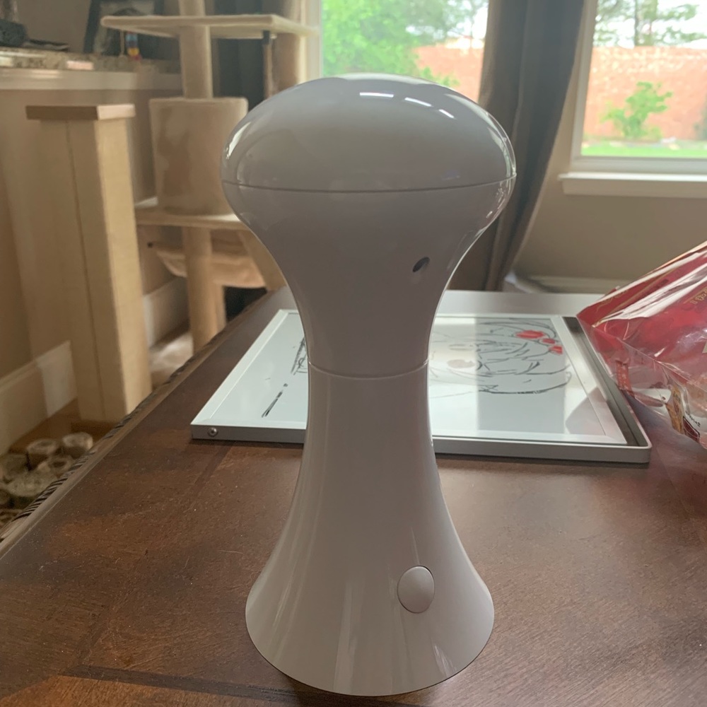Cat laser toy